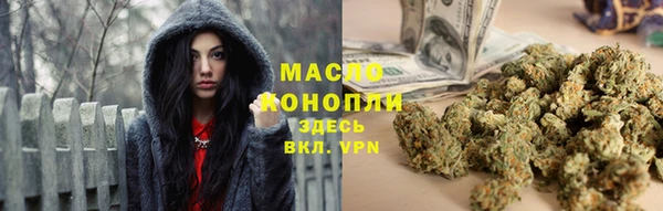 дмт Туринск