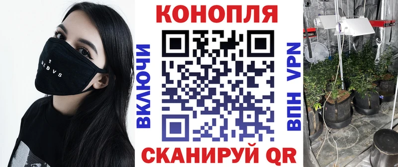 Конопля AK-47 Судогда